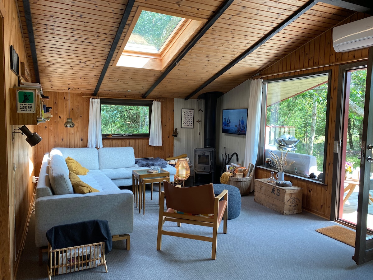 The living area features wooden walls and a slanted ceiling, with a skylight allowing natural light. A spacious gray sofa is arranged around a central coffee table. A stove is positioned next to a TV, and curtains frame the windows. A chair completes the cozy setup.