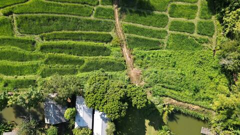 H1 Nature’ Oasis, close the city