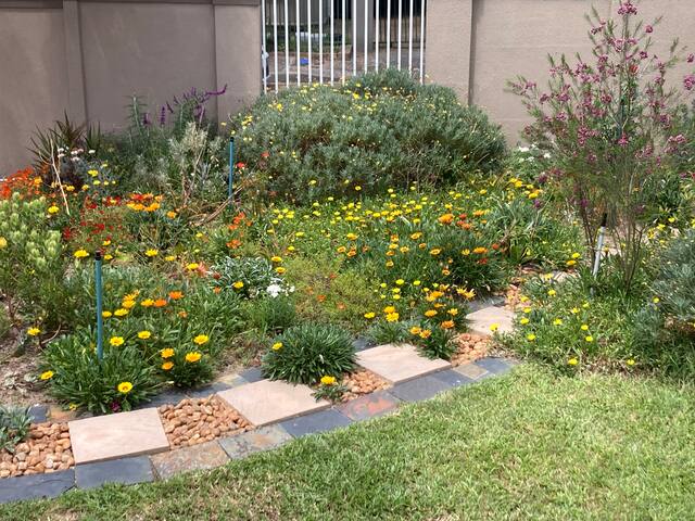 Bougainvillea House Boston, 3 bedrooms gallery image 5