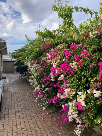 Bougainvillea House Boston, 3 bedrooms gallery image 3