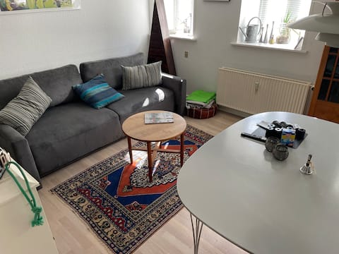 50 sqm close to the center.