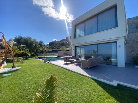 Villa with a view of Monaco and the Mediterranean