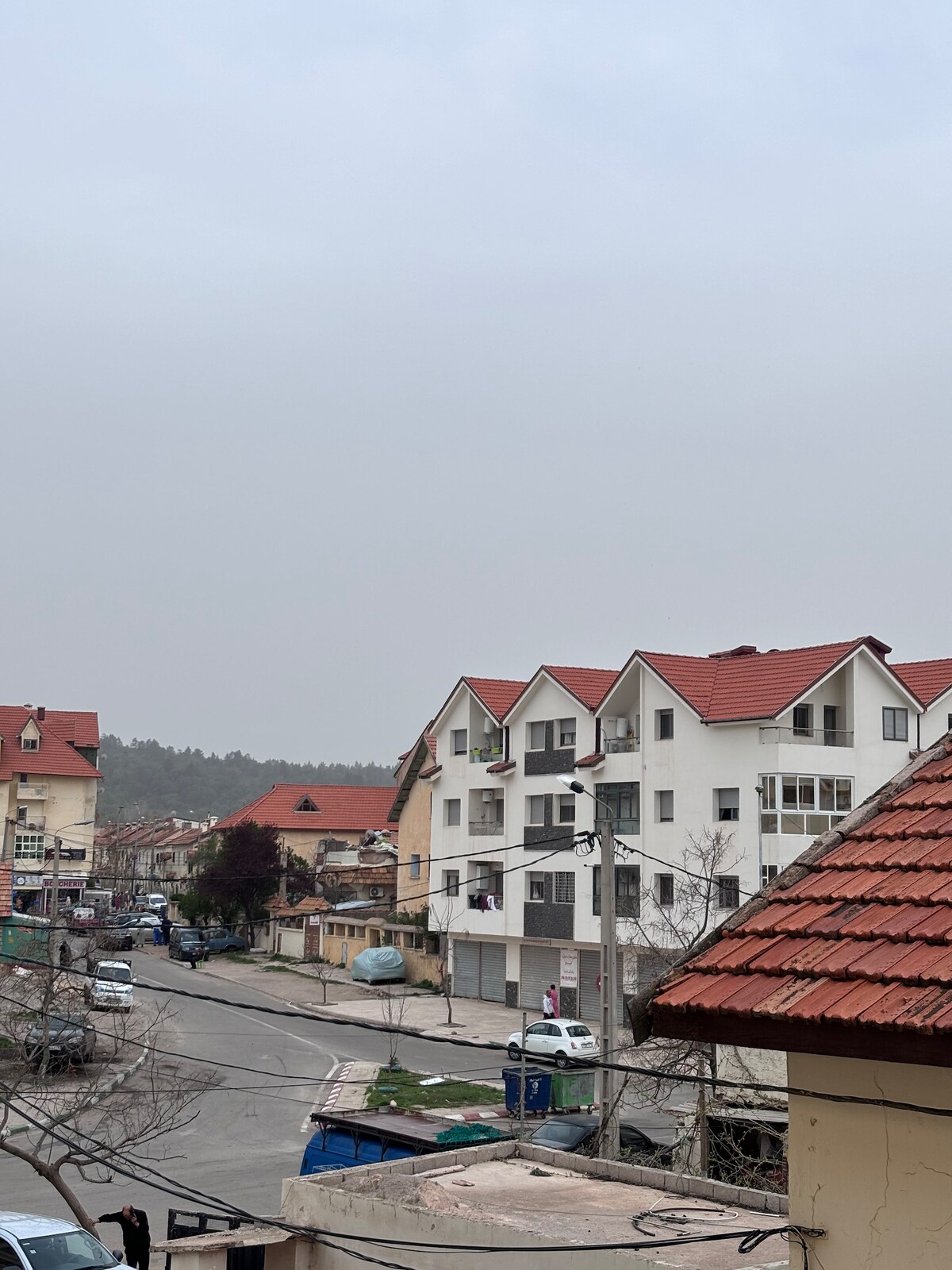 A street view showcases several residential buildings with sloped roofs. Trees line the sides of the road, and vehicles are parked along the curb. The atmosphere appears calm, with a light haze covering the skyline.