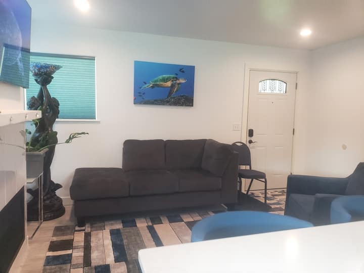 Turtle Suite - Sturgis, SD