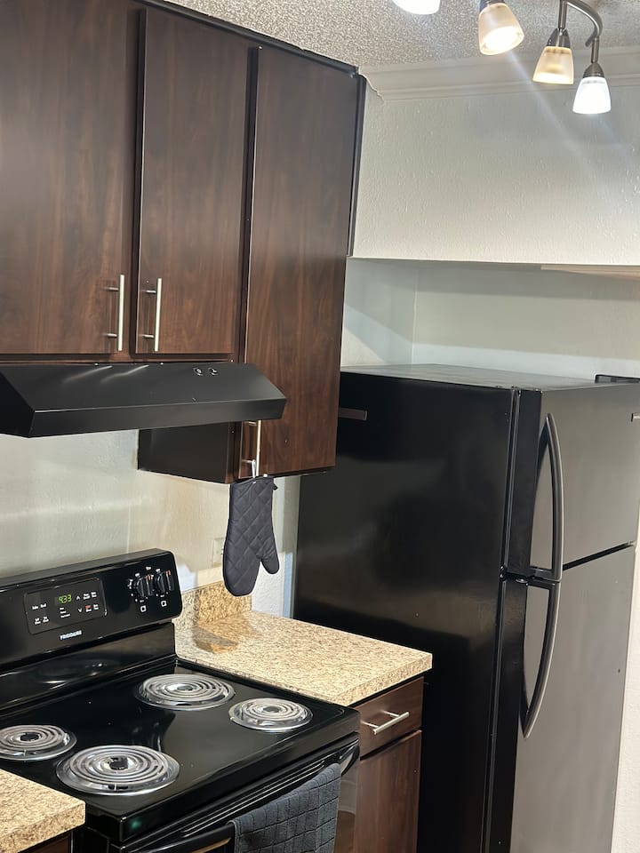 Modern Houston Apartment Getaway - Houston, TX