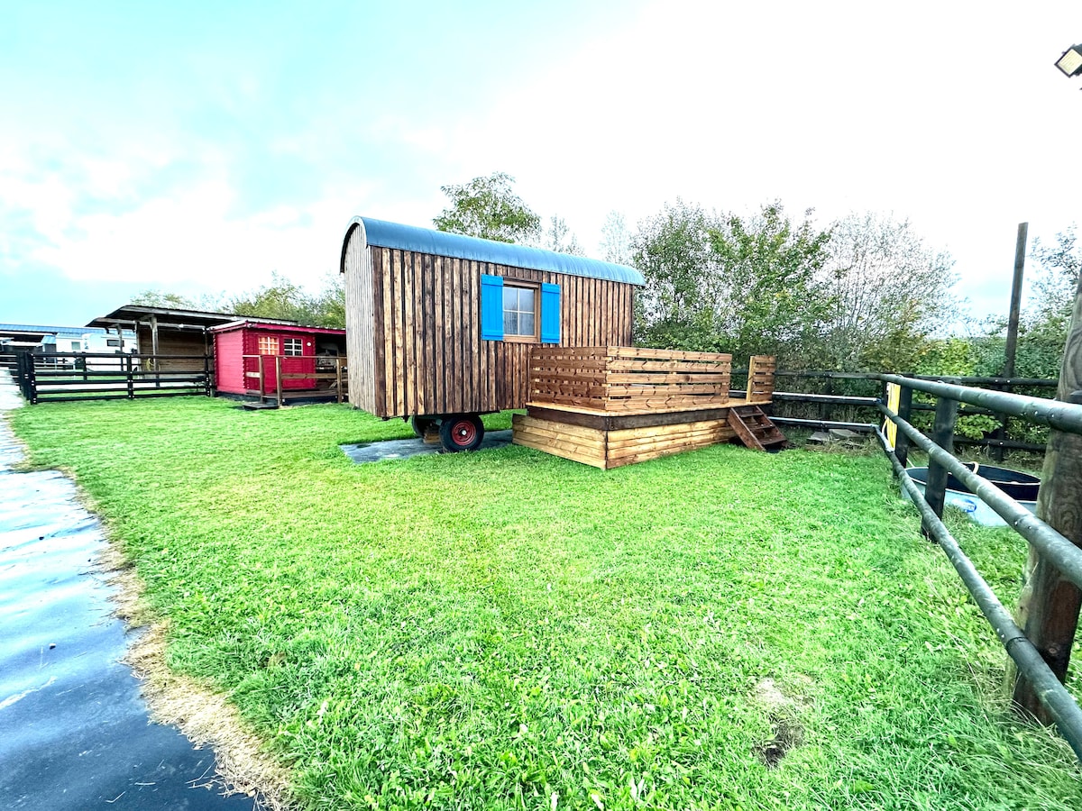 A charming tiny house on wheels is situated in a grassy outdoor area, featuring wooden paneling. A deck is attached, providing access to the home. Surrounding fencing and a small red storage shed are visible, adding to the rustic feel of the environment.