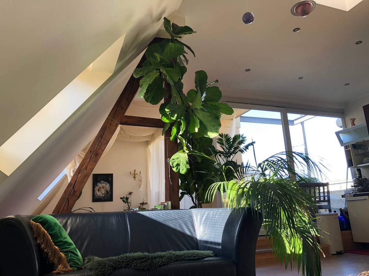 Top performing Airbnb: cozy LOFTY OASIS - Central Parc xx Wellness Vibes in Zentrum West