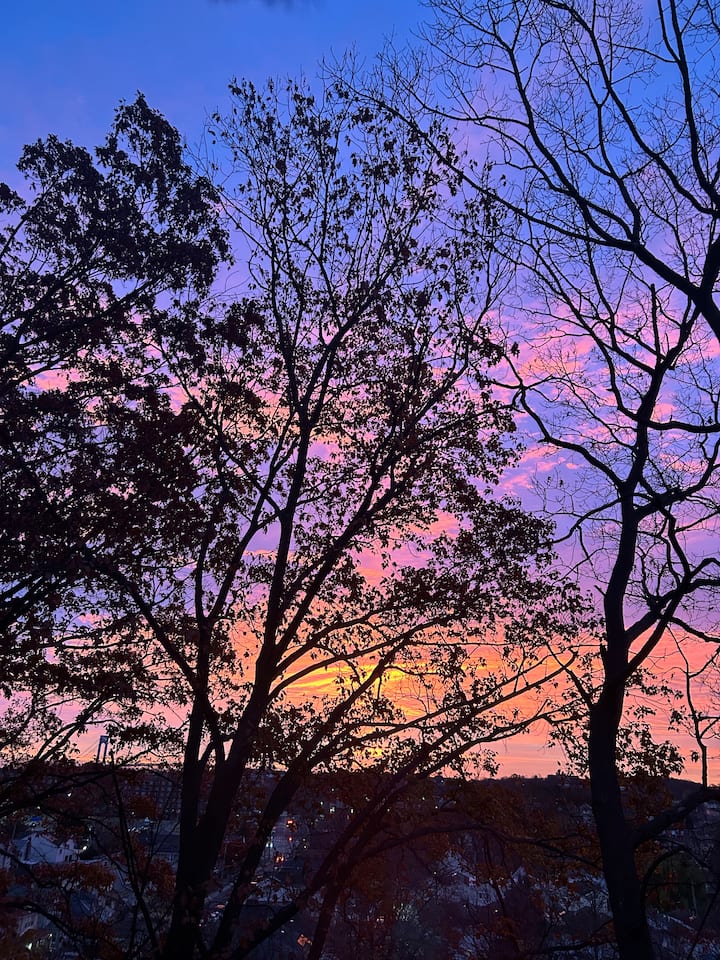 •	“Relax & Recharge In This Comfy&sunny 1br Flat” - Staten Island, NY
