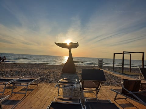 a stone's throw from the beach