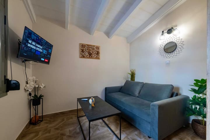 TV with Netflix . Sofa bed that can sleep  2 people . Check the next photo. 