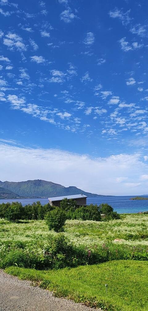 Villa ved havet i Vesterålen