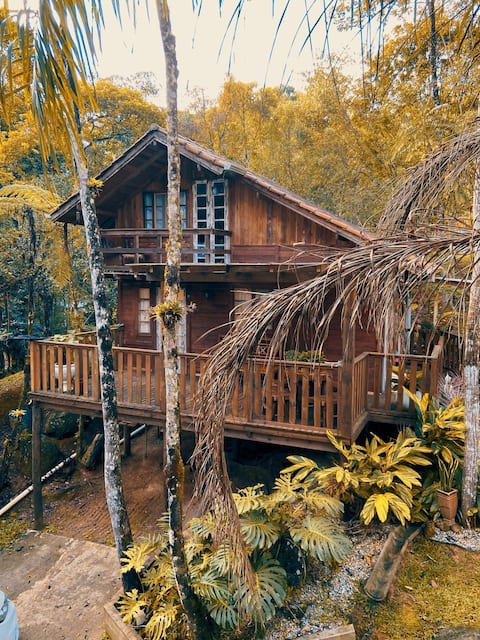 Cozy Forest Retreat | Perfect for Couples