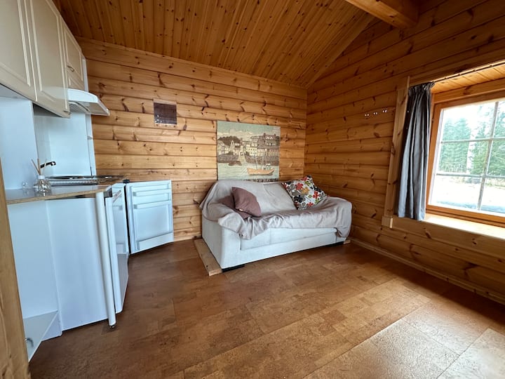 Sauna pri jazere s malou chladničkou a sporákom. Pohovka sa rozprestiera ako rozkladacia pohovka.