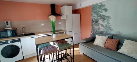 Charming T2 Plouay center