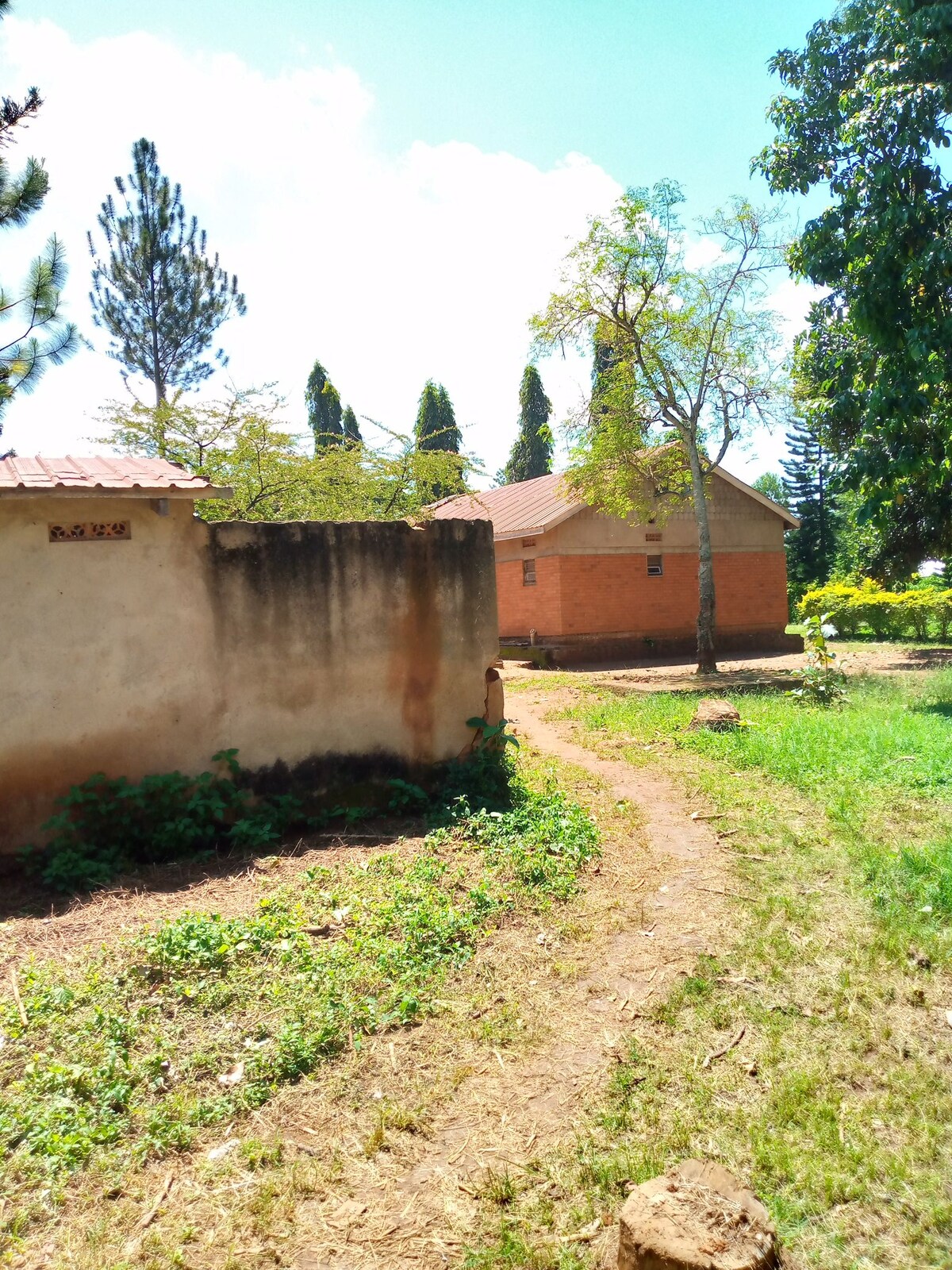A dirt path meanders through lush greenery, leading to a brick building with a sloped roof. Surrounding trees and shrubs create a natural setting, while a textured wall stands beside the path, indicating the boundaries of the property.