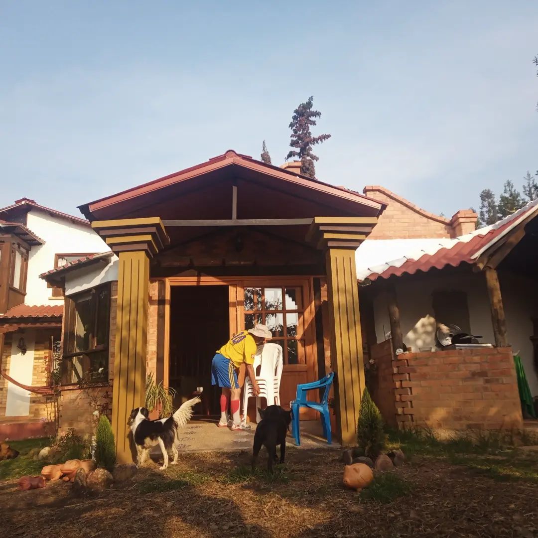 The entrance of the house is framed by a wooden canopy, providing shelter to arriving guests. Two dogs are seen exploring the outdoor area, while a person interacts with a chair on the porch. Surrounding greenery adds a natural touch to the welcoming atmosphere.