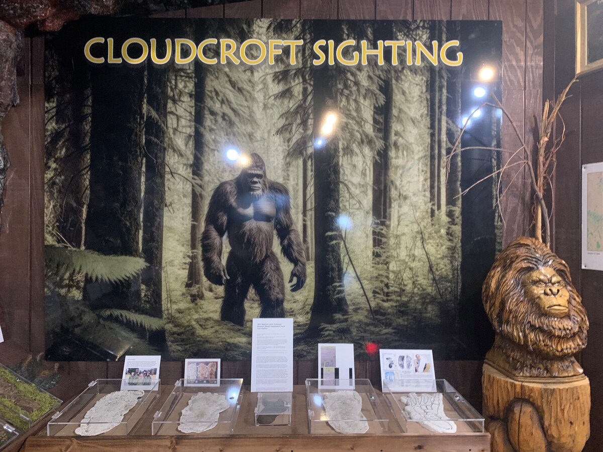 A large, striking sign reading 'Cloudcroft Sighting' hangs against a backdrop of a forest scene featuring a figure resembling Bigfoot. Below, a display case holds various artifacts and photographs, adding an element of intrigue to the rustic environment.