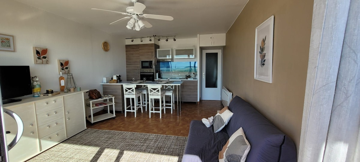 Top Airbnb: 4-person apartment facing the sea a Port La Nouvelle