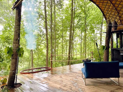 Immerse yourself in the woods! (Citlalapa)