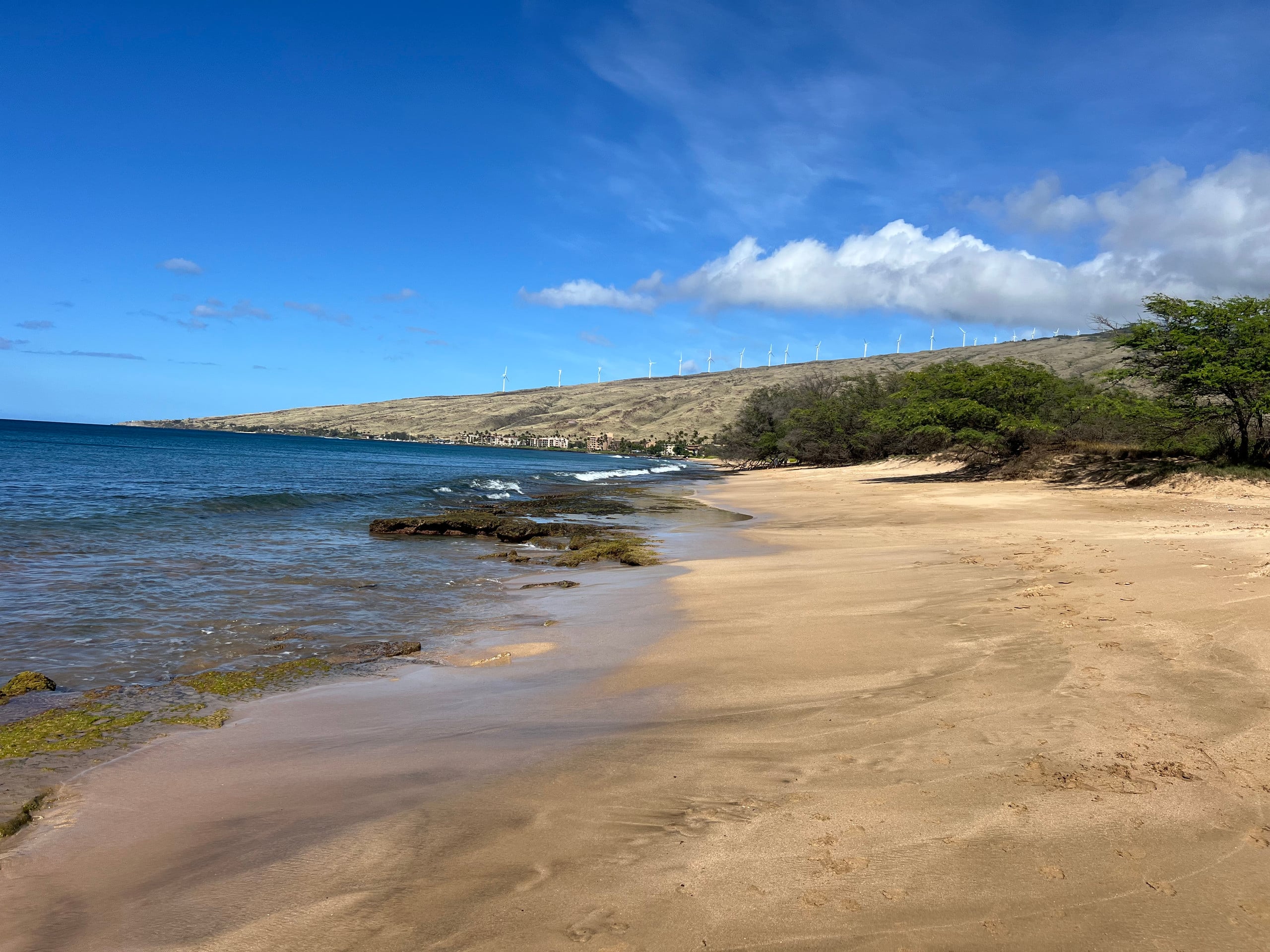 Condo in Wailuku · ★4.98 · 2 bedrooms · 3 beds · 2 baths - Image 74