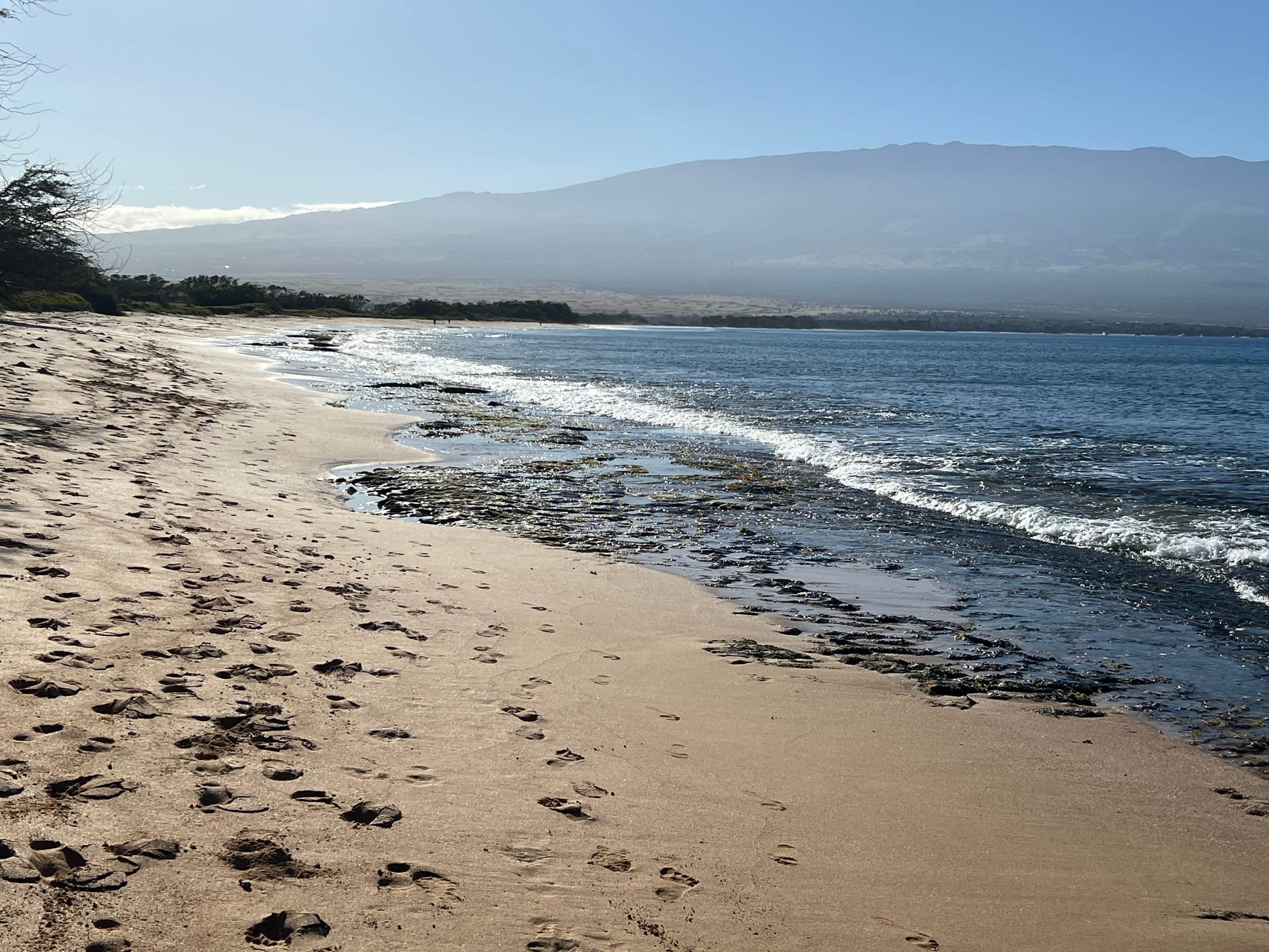 Condo in Wailuku · ★4.98 · 2 bedrooms · 3 beds · 2 baths - Image 71