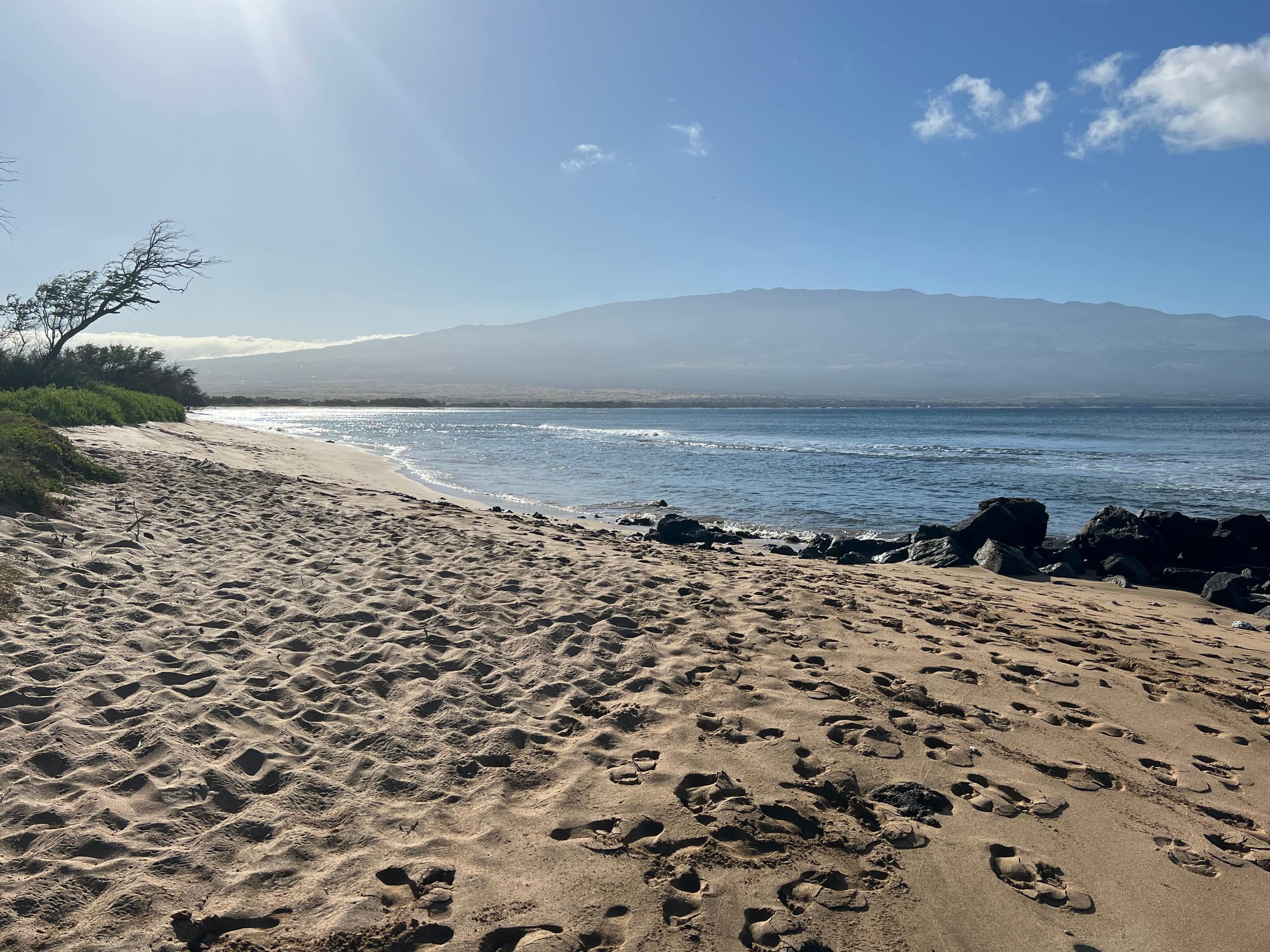 Condo in Wailuku · ★4.98 · 2 bedrooms · 3 beds · 2 baths - Image 73