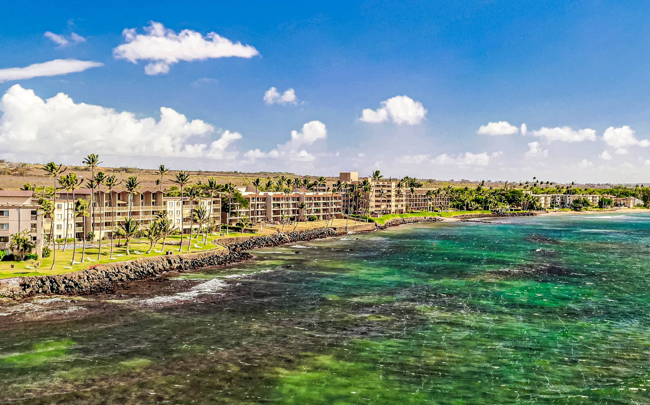 Condo in Wailuku · ★4.98 · 2 bedrooms · 3 beds · 2 baths - Image 61
