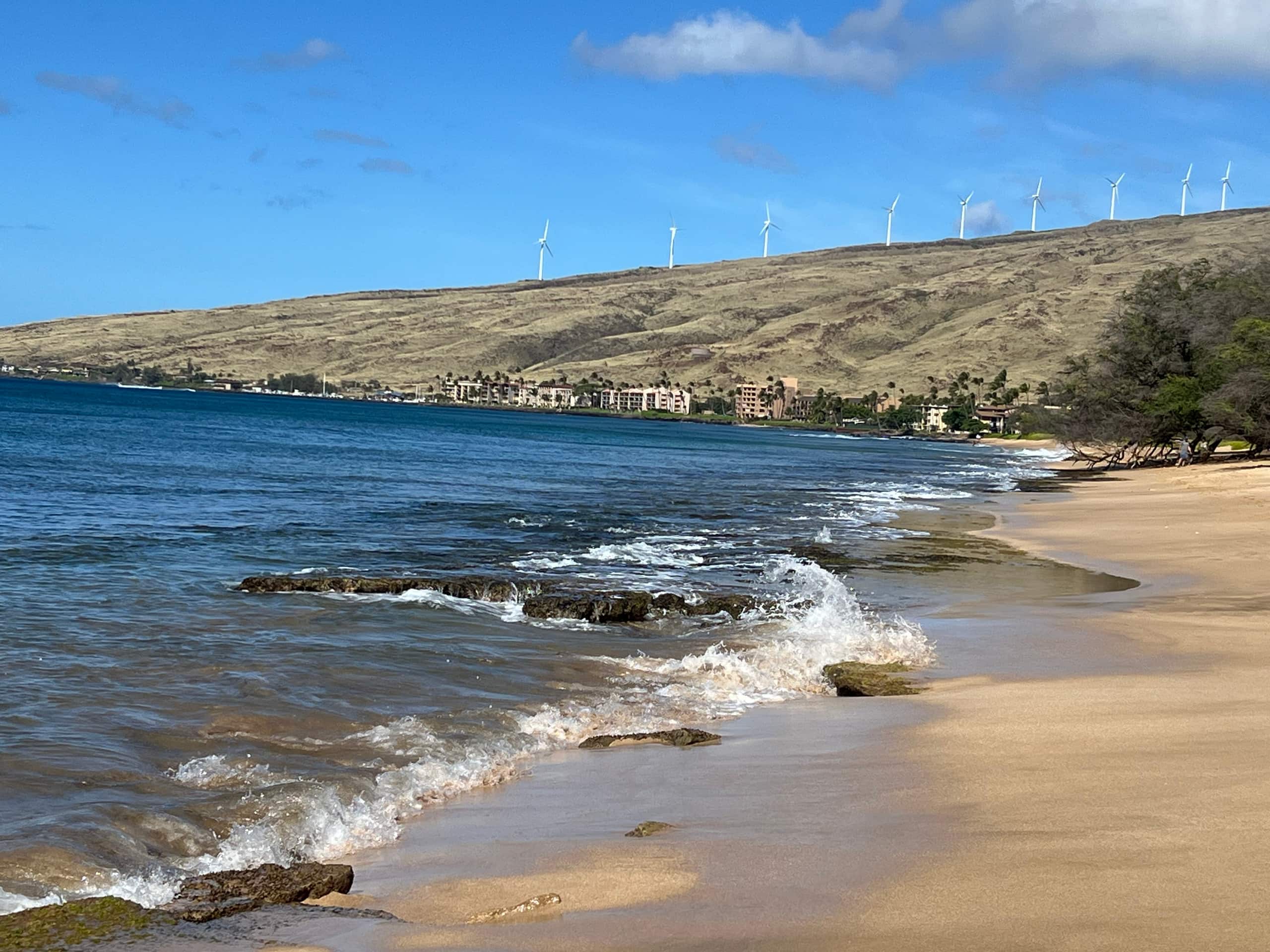 Condo in Wailuku · ★4.98 · 2 bedrooms · 3 beds · 2 baths - Image 69