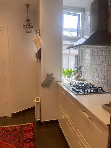 Frederiksberg herskabslejlighed gallery image 5