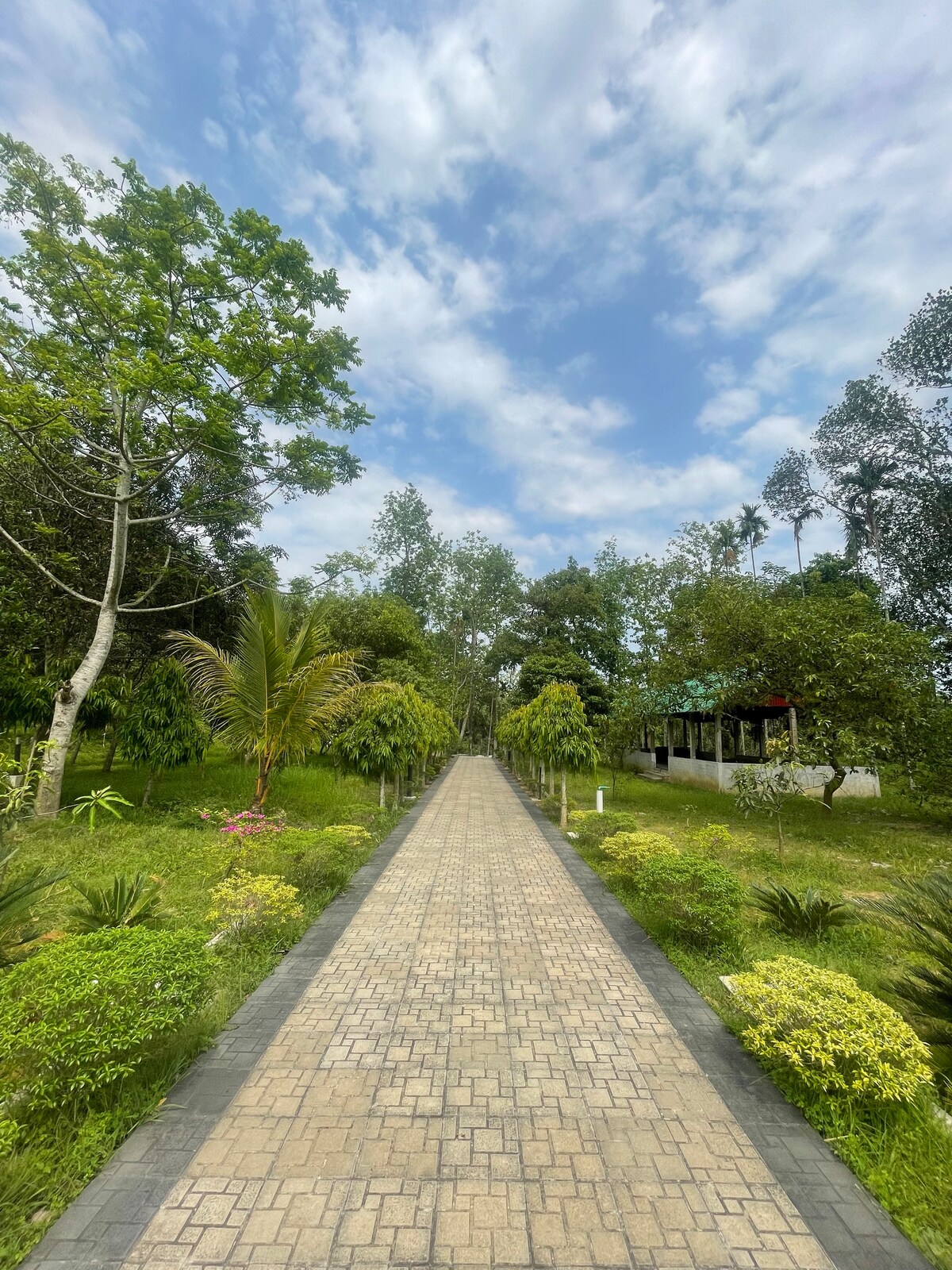 A wide stone pathway guides visitors through lush greenery, flanked by various trees and shrubs. The sky above displays a mix of clouds and blue, enhancing the serene ambiance of this spacious outdoor setting.
