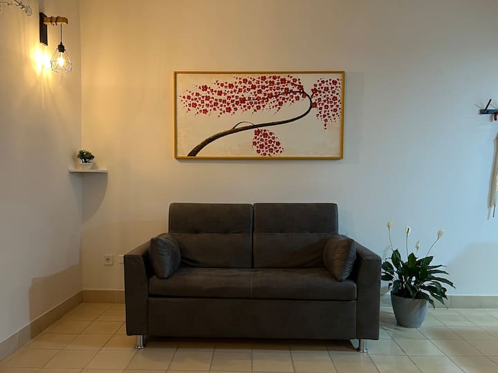 Appart Moderne Et Central 3 - Havana