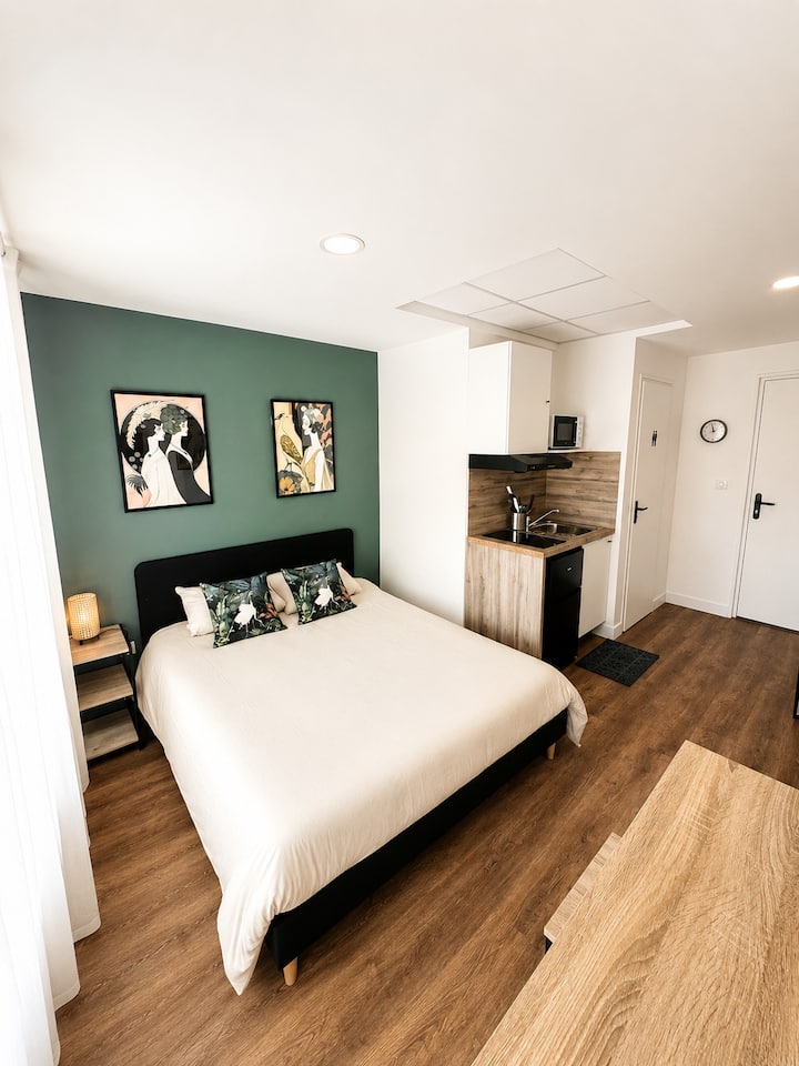 L'emile Zola 2 : Studio Cosy Green En Hyper Centre - Saint-Quentin