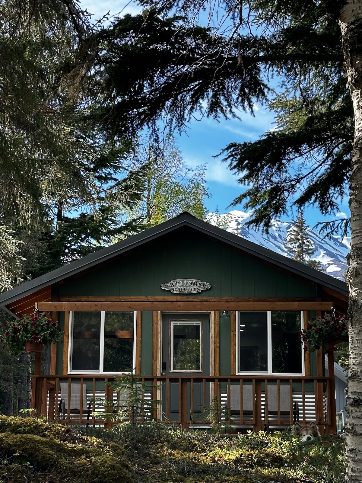 A charming cabin is set amidst lush greenery, showcasing a wooden deck with a railing. Large windows allow natural light to illuminate the interior. The backdrop features tall trees and snow-capped mountains under a clear blue sky.