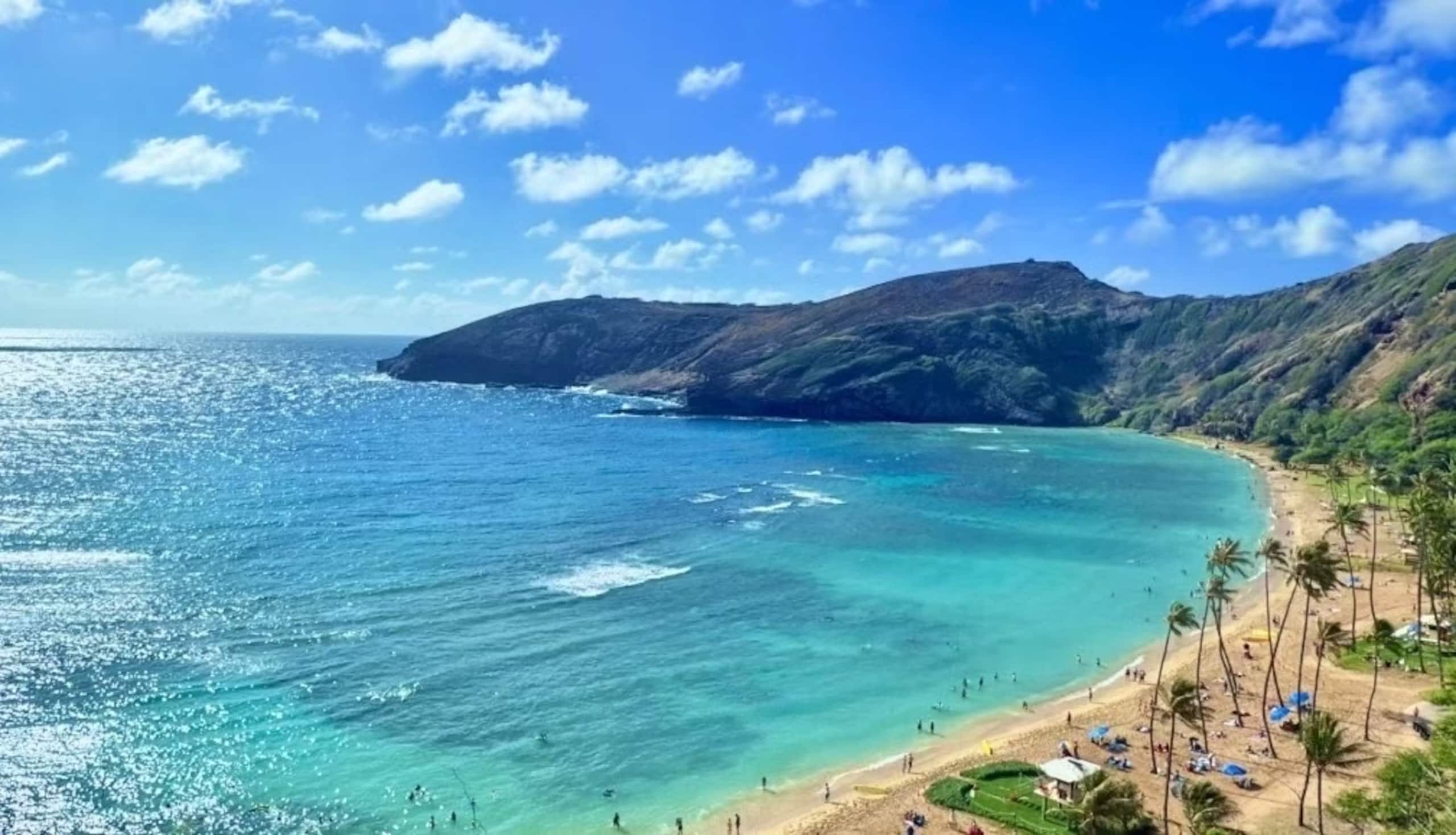 2b1b Waikiki-Beautiful view free Parking  15fl - Image 82