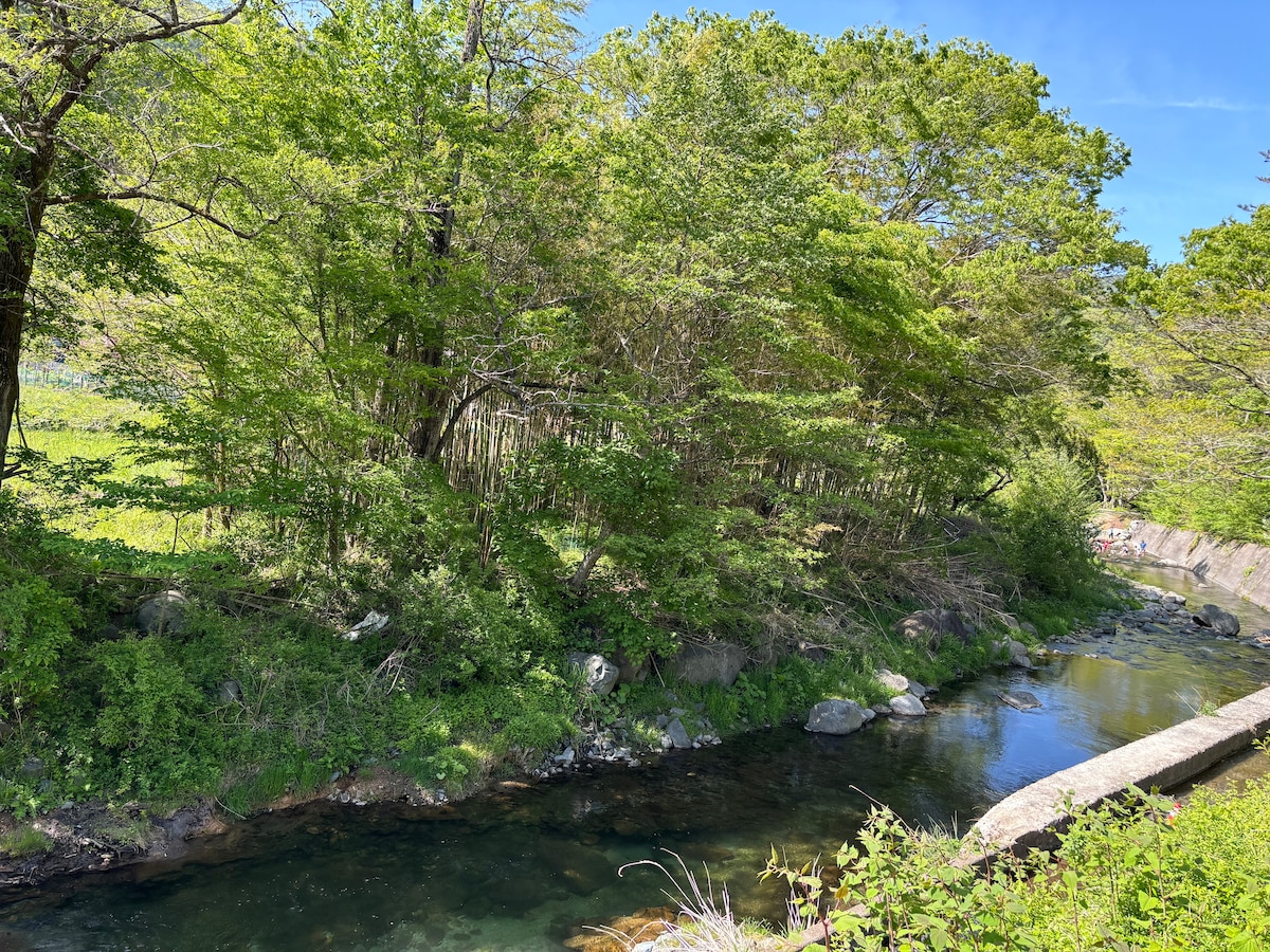 A serene riverbank is surrounded by lush greenery, with sunlight filtering through the leaves. The calm water reflects the vibrant foliage, creating a peaceful natural setting. The gentle flow of the river is visible, accompanied by scattered stones along the bank.