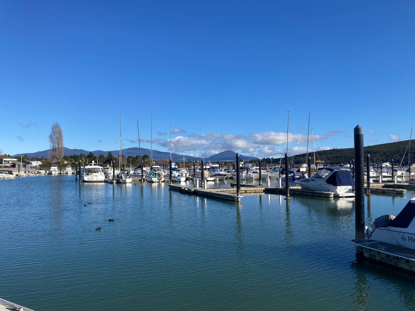 Cozy Lake Cottage • 2br • Walk To Marina + Kayaks 4