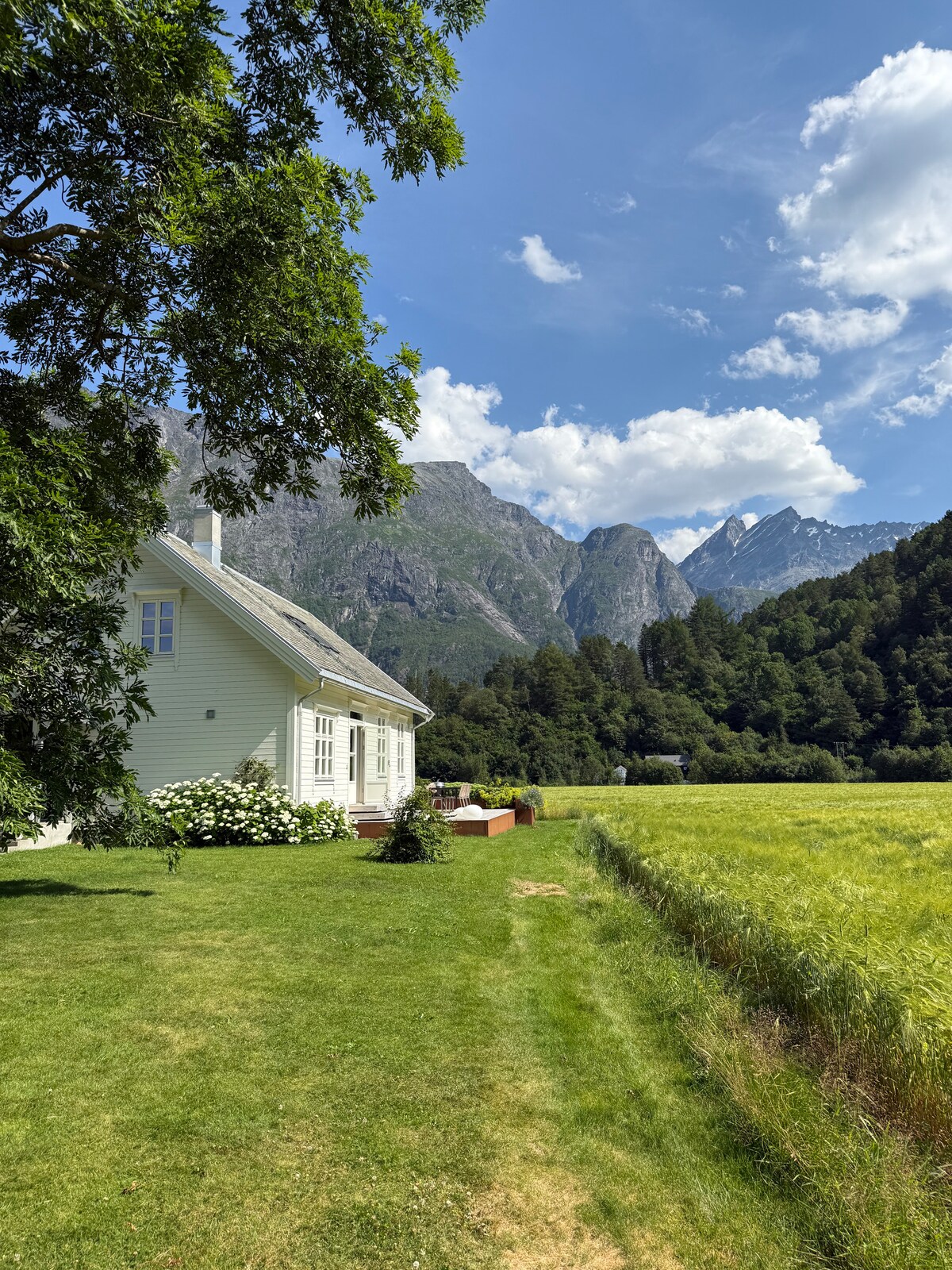 A charming house with light green siding is set against a backdrop of towering mountains and clear blue skies. Lush greenery surrounds the home, with manicured grass leading towards fields of golden crops, creating a serene rural landscape.