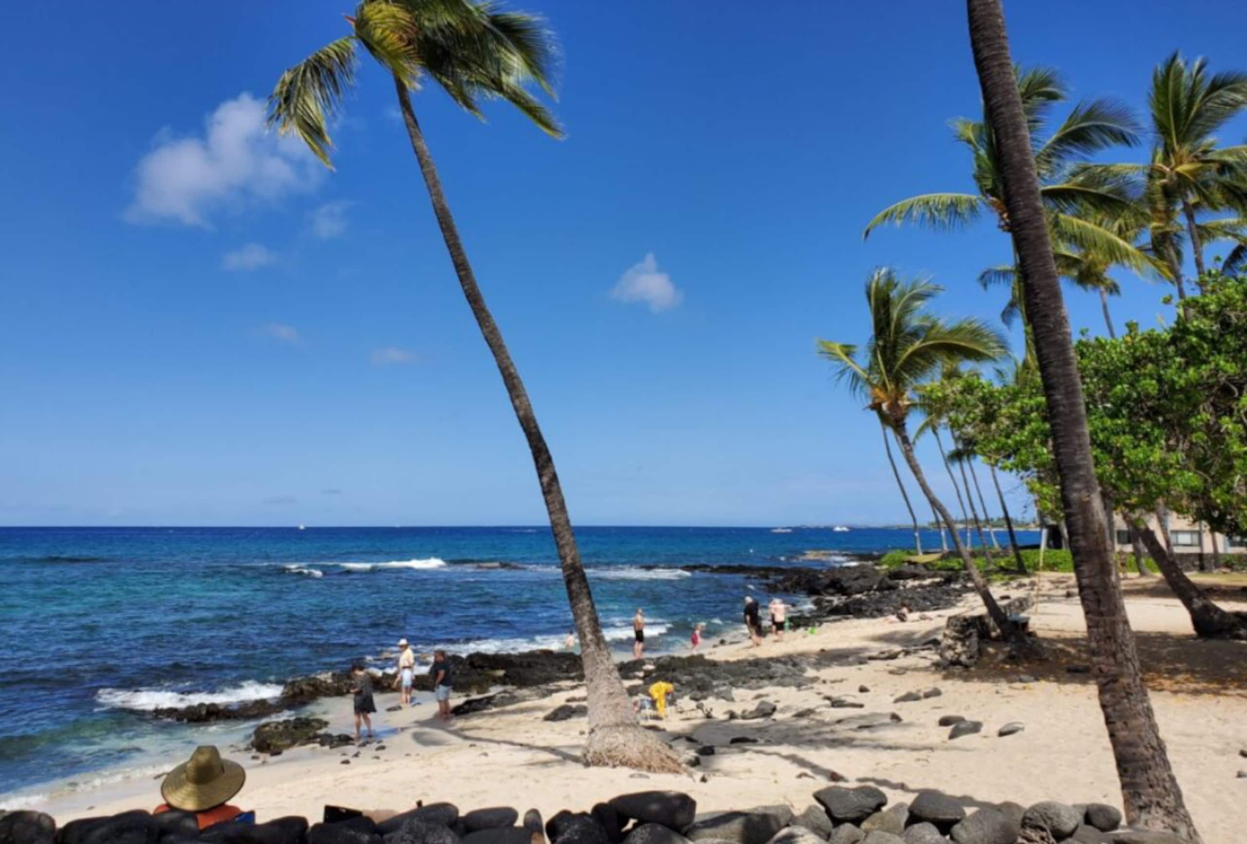 Condo in Kailua-Kona · ★4.94 · 1 bedroom · 2 beds · 2 private baths - Image 35