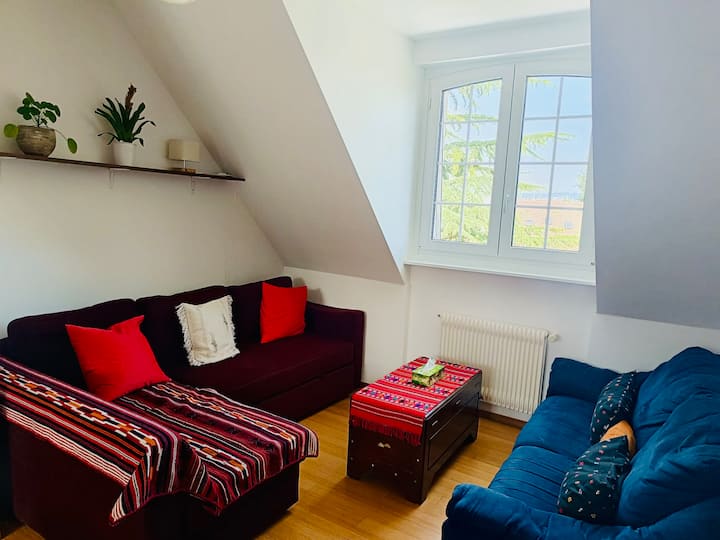 მისაღები ოთახი