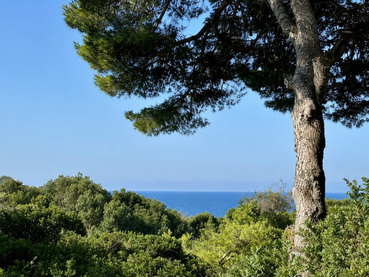 Le Romarin, Mobil-home Climatisé Avec Vue Mer - Porquerolles