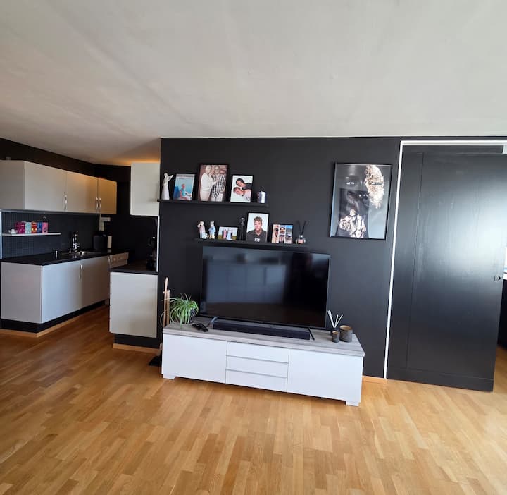 Leilighet Med Byens Beste Utsikt - Stavanger
