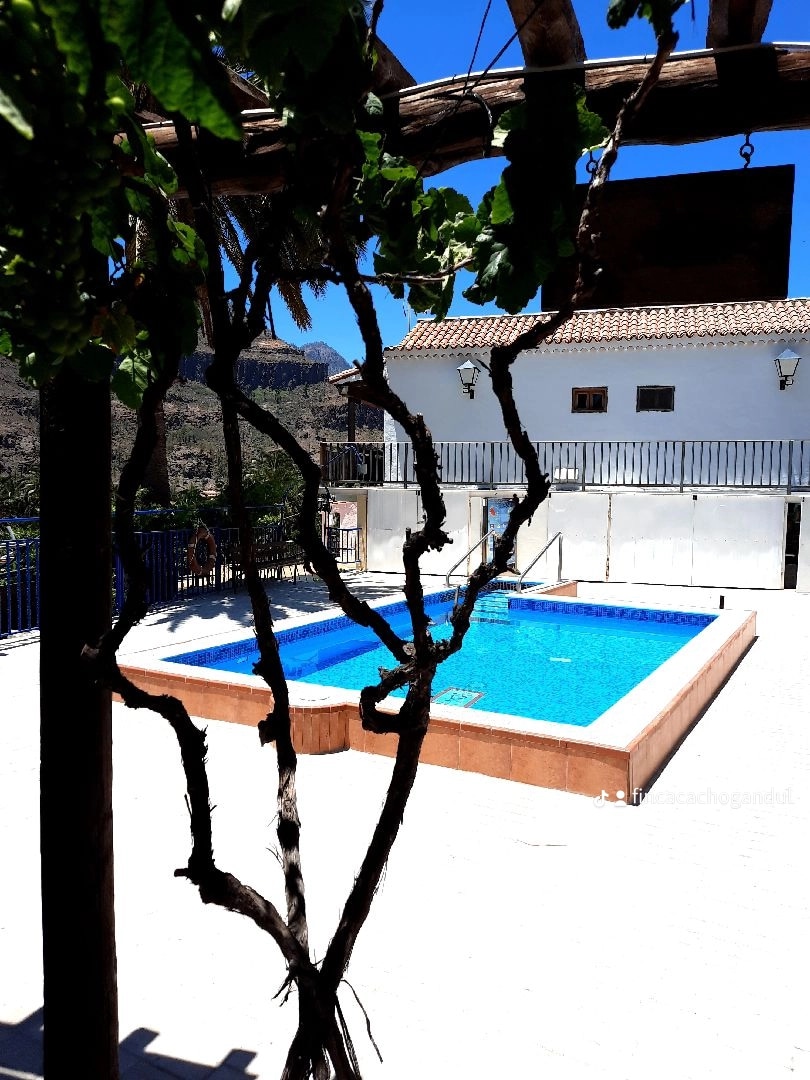 A private swimming pool is bordered by a sunlit terrace, surrounded by scenic views of the mountains. The clear blue water reflects the sky, and the area is shaded by a wooden structure adorned with climbing vines.