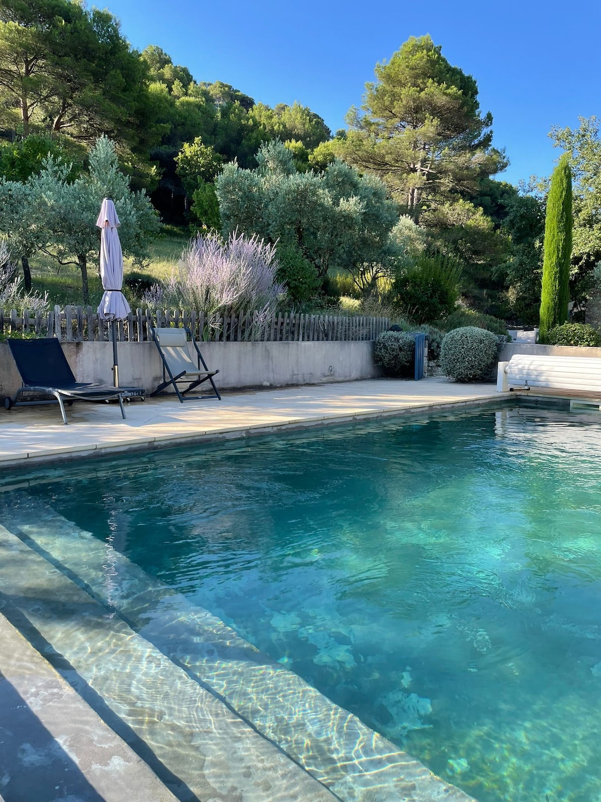 A swimming pool is seen surrounded by lush greenery and olive trees. Sun loungers are placed nearby, and an umbrella provides shade. The pool's clear water reflects the blue sky, creating a serene oasis for relaxation.