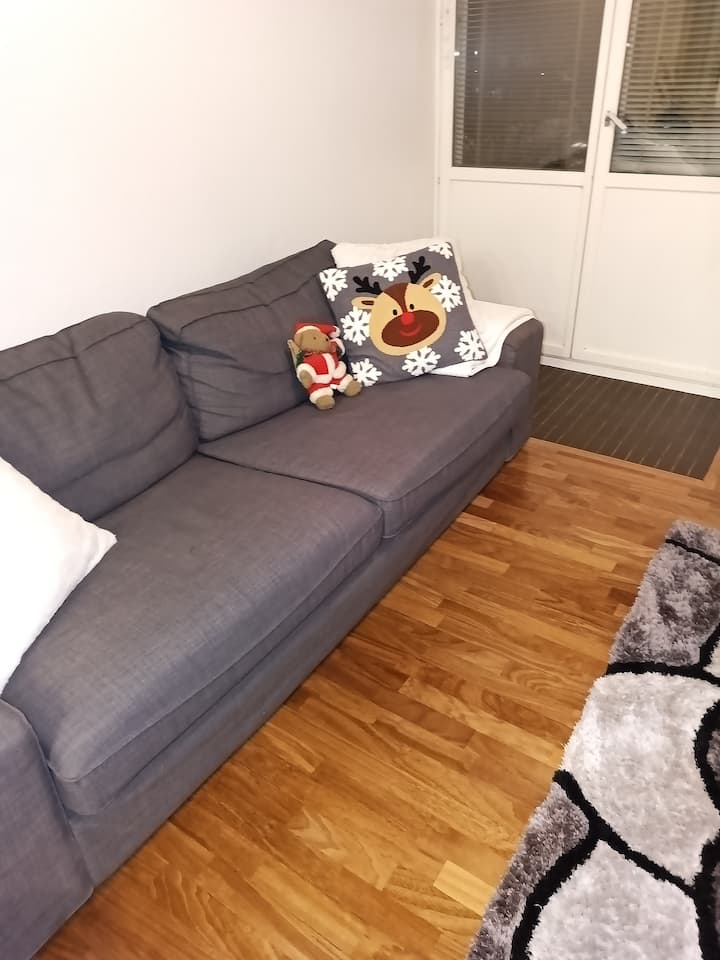 Viihtyisä 4 Huonetta Ja Keittiö +Pysäköintipaikka - Turku