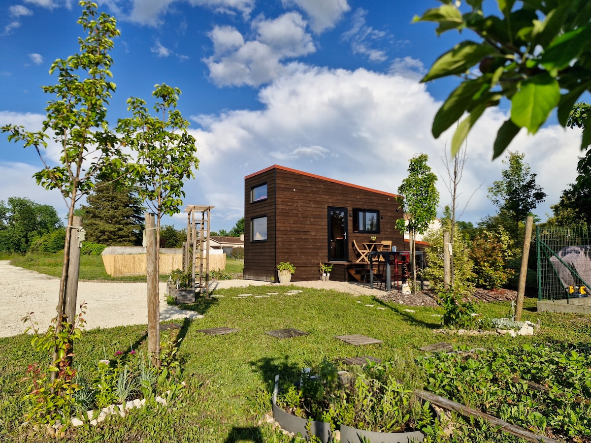 A tiny house with dark wooden siding features large windows and a bright orange roof. Surrounding greenery includes various plants and young trees, with a small outdoor seating area evident on the porch. The landscape is well-maintained, providing a serene outdoor environment.