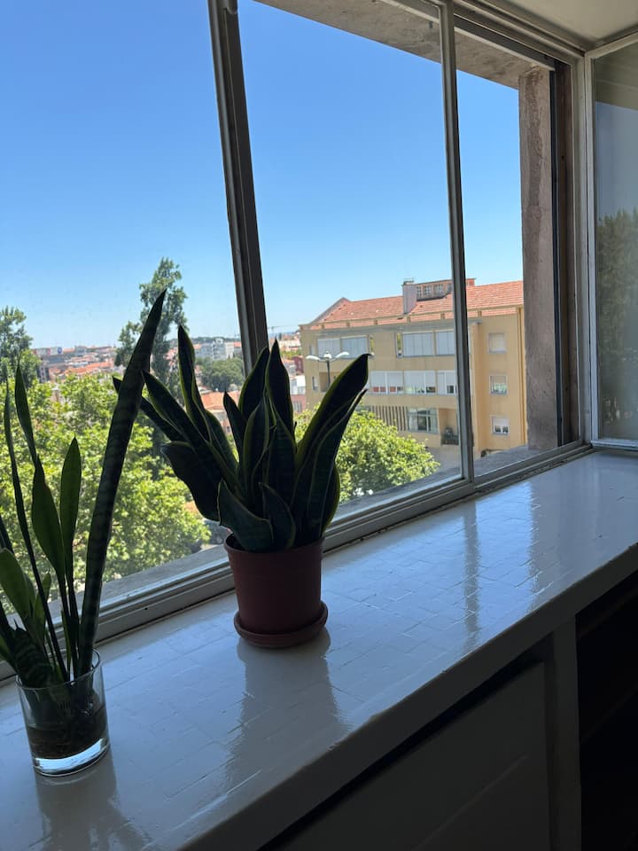 საძინებელი