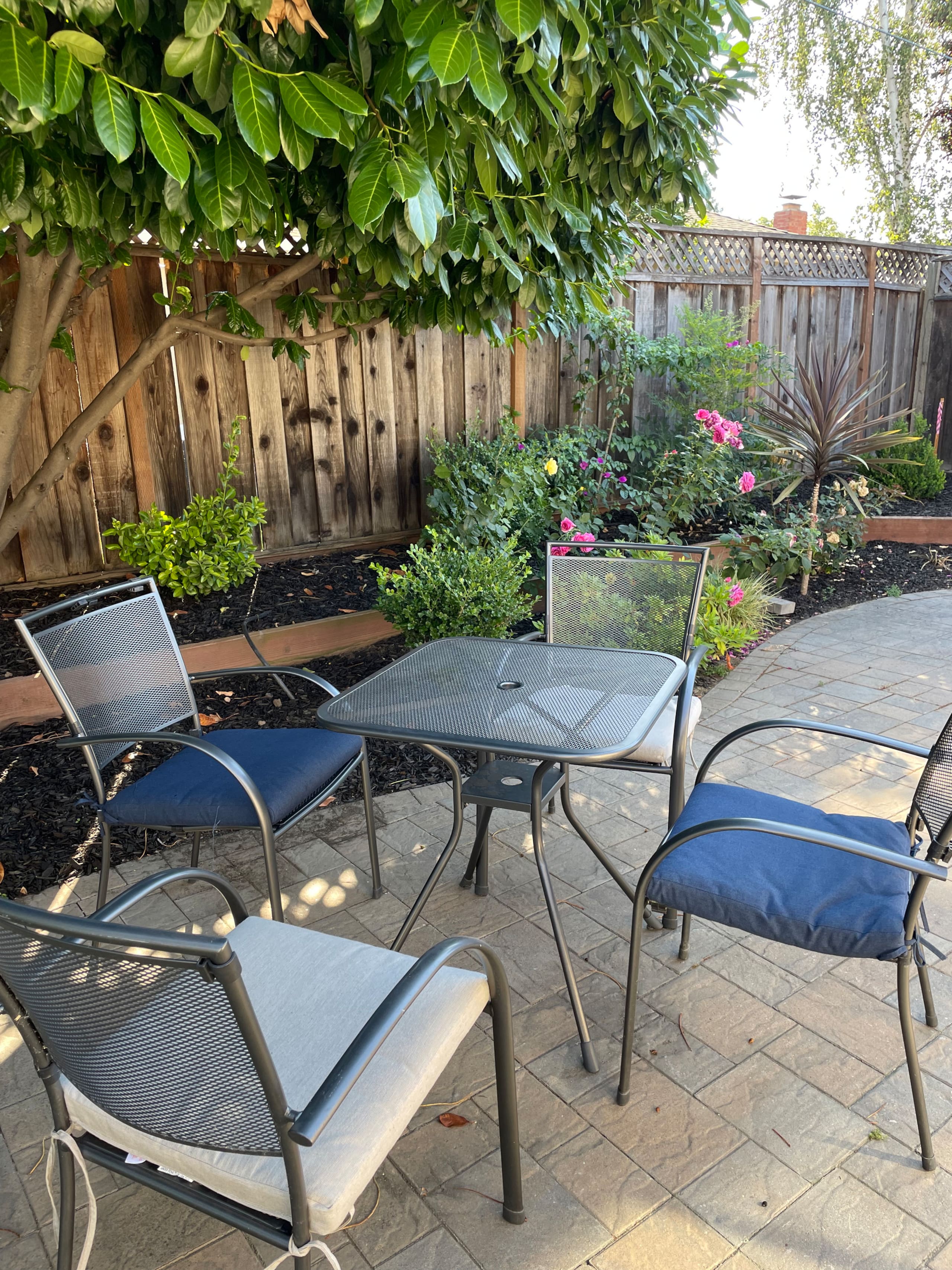 Willow Glen Family Home, Near DT & Parks - Photo 75