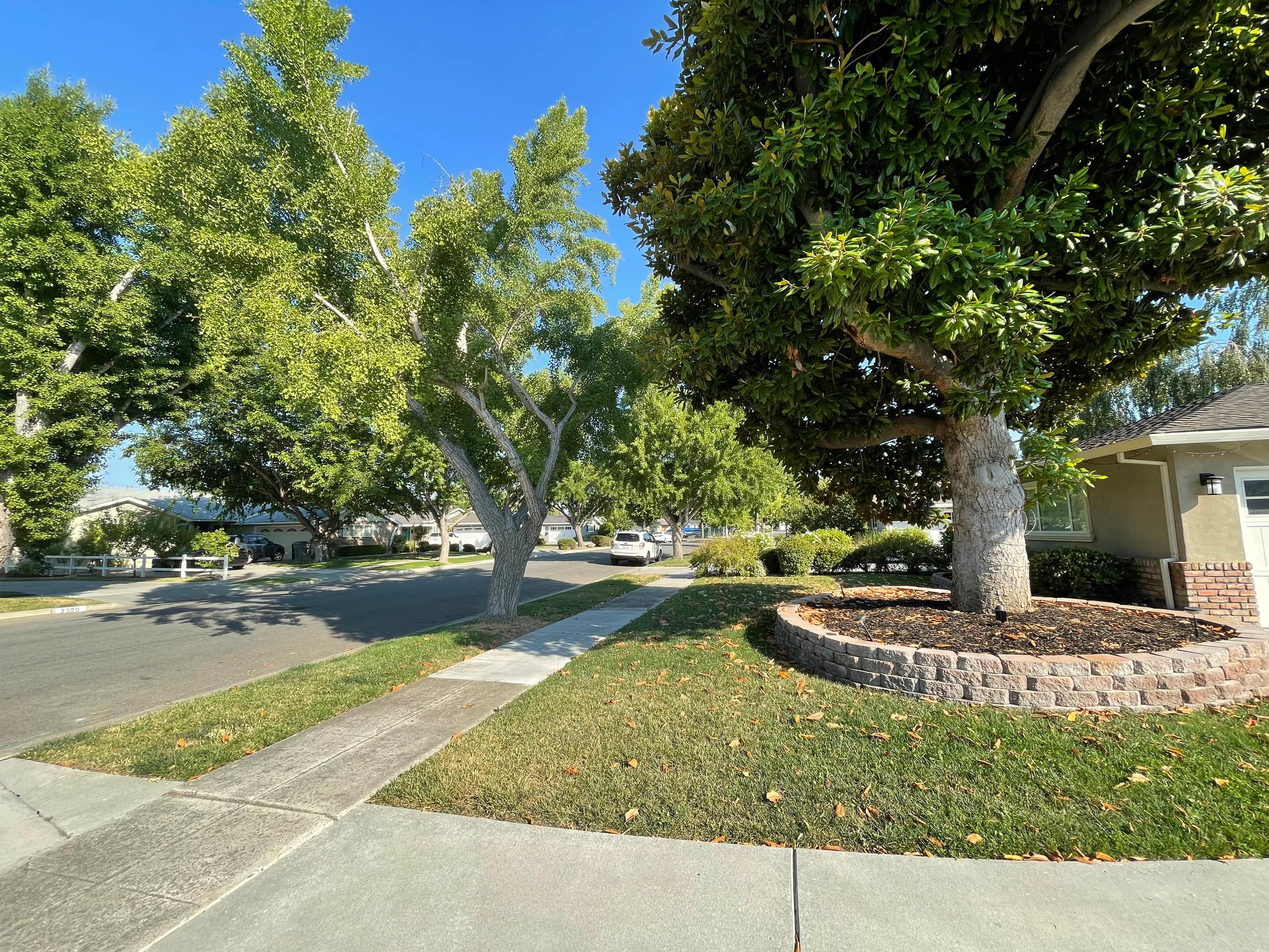 Willow Glen Family Home, Near DT & Parks - Photo 82