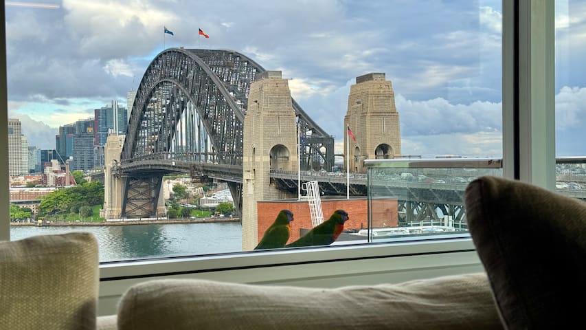 World-class Sydney Harbour View-SuperHost