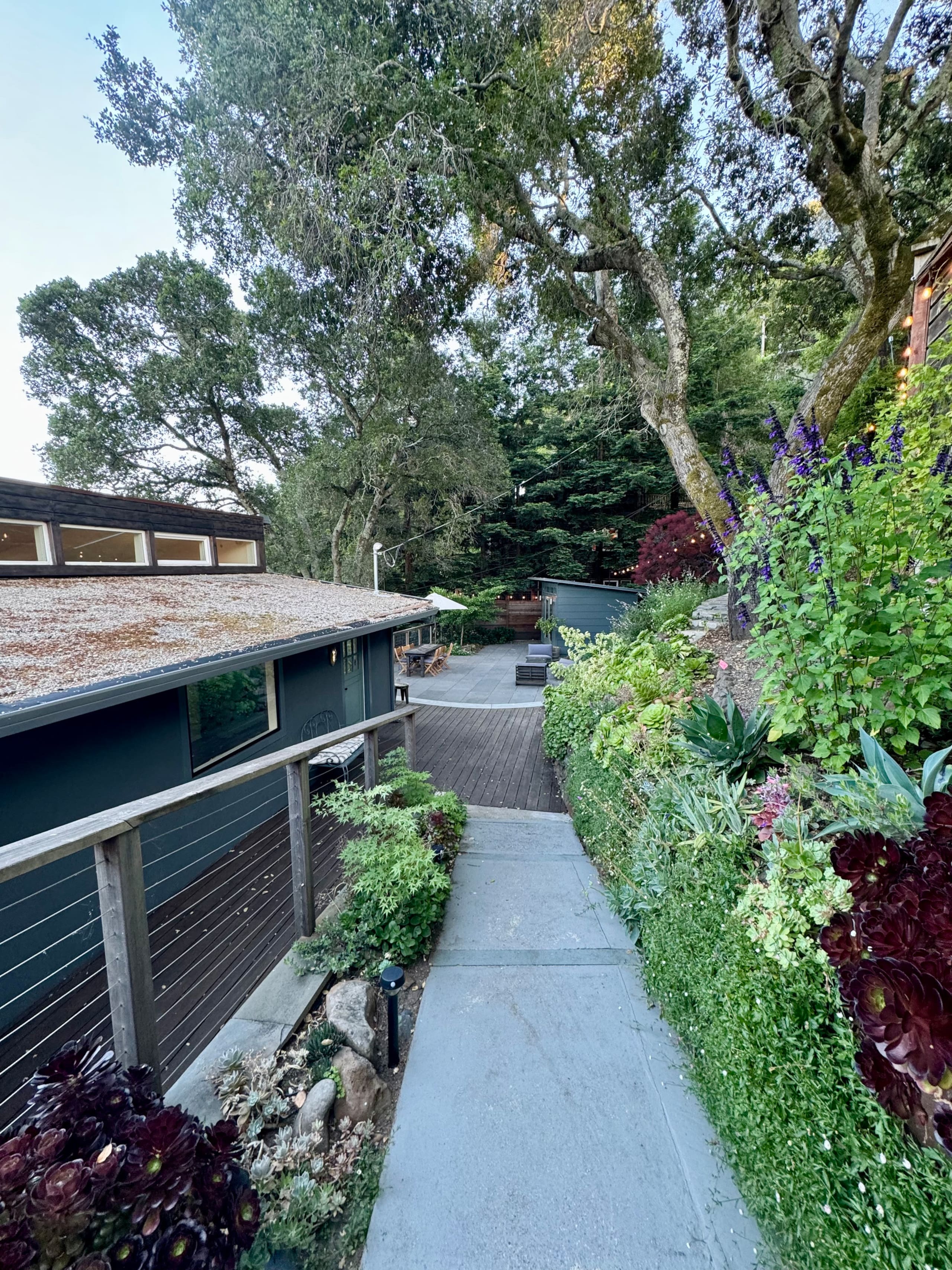 Modern Oasis with Sauna & Redwood Views - Photo 44